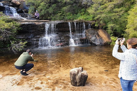 Blue Mountains Small Group Tour Enjoy A Sleep In, Waterfalls, Sunset & Dinner - Accommodation Brunswick Heads 2
