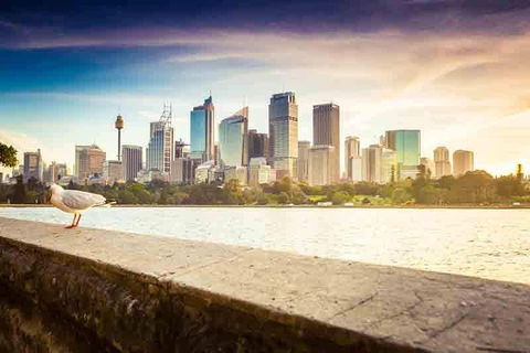 Private Sydney City And Bondi Beach Half Day Tour - Accommodation Brunswick Heads 2