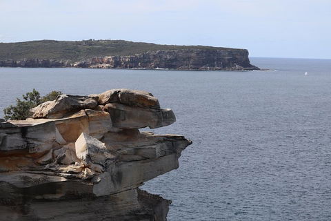 Private Sydney City And Bondi Beach Half Day Tour - Accommodation Brunswick Heads 3