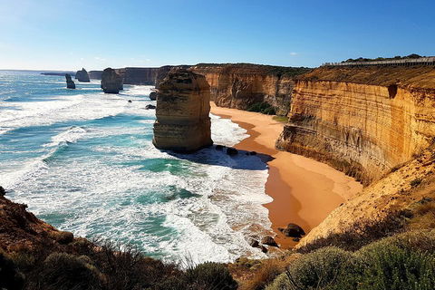 Helicopter Flight + Fine Dining Private Luxury Great Ocean Road Tour - Accommodation Brunswick Heads 4