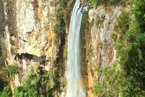 Natural Arch, Rainforest & Volcano Canyon - Private Half Day Tour - Accommodation Brunswick Heads 2