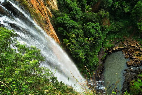 Natural Arch, Rainforest & Volcano Canyon - Private Half Day Tour - Accommodation Brunswick Heads 5