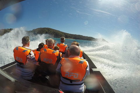 Noosa Thriller - 500hp Ocean Adventure Ride - Accommodation Brunswick Heads 3