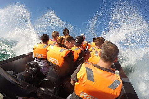 Noosa Thriller - 500hp Ocean Adventure Ride - Accommodation Brunswick Heads 4