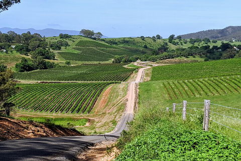 The Complete Hunter Valley Wine Tour Of Pokolbin, Mt View, Lovedale And Rothbury - Accommodation Brunswick Heads 0