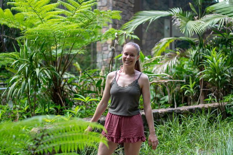 Full-Day Guided Hinterland Adventure Tour In Queensland - Accommodation Brunswick Heads 0