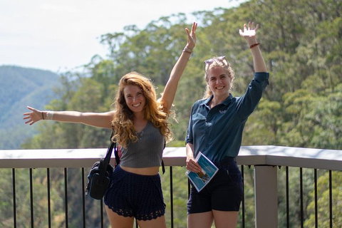 Full-Day Guided Hinterland Adventure Tour In Queensland - Accommodation Brunswick Heads 3