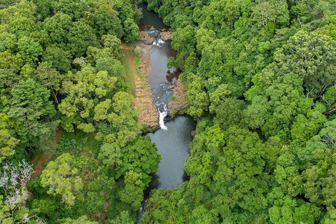 Full-Day Guided Hinterland Adventure Tour In Queensland - Accommodation Brunswick Heads 4