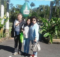 Tropical Fruit World with Wildlife Boat Cruise from Gold Coast - Accommodation Brunswick Heads