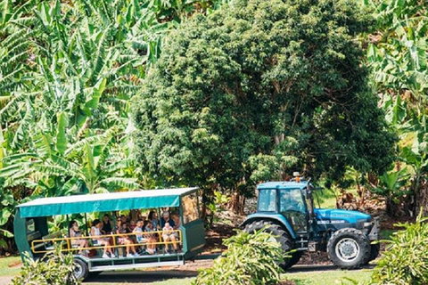 Tropical Fruit World With Wildlife Boat Cruise From Gold Coast - Accommodation Brunswick Heads 1