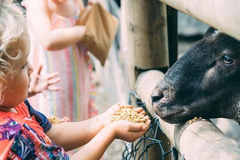Tropical Fruit World With Wildlife Boat Cruise From Gold Coast - Accommodation Brunswick Heads 5