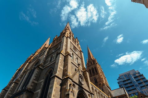 Highlights & Hidden Gems With Locals: Best Of Melbourne Private Tour - Accommodation Brunswick Heads 4