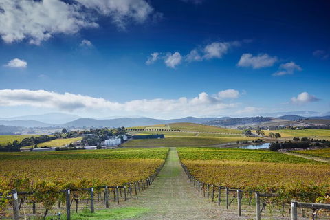 Yarra Valley Wine And Wildlife Self-Driving Tour - Accommodation Brunswick Heads 1