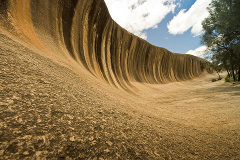 Wave Rock, York, Wildflowers, And Aboriginal Cultural Day Tour From Perth - Accommodation Brunswick Heads 0