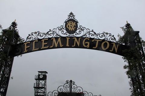 Half-Day Sports Lovers Bus Tour Of Melbourne With Tour Options - Accommodation Brunswick Heads 3