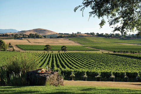 Yarra Valley 2-6 Guests Premium Food And Wine Inc Lunch At Dominique Portet - Accommodation Brunswick Heads 2