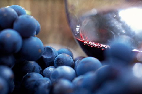 Yarra Valley 2-6 Guests Premium Food And Wine Inc Lunch At Dominique Portet - Accommodation Brunswick Heads 5