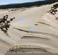 Port Stephens Bush Beach and Sand Dune 4WD Tag-Along Tour - Accommodation Brunswick Heads