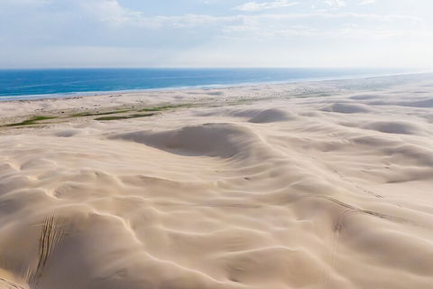Port Stephens Bush, Beach And Sand Dune 4WD Passenger Tour - Accommodation Brunswick Heads 2