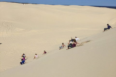 Port Stephens Bush, Beach And Sand Dune 4WD Passenger Tour - Accommodation Brunswick Heads 4