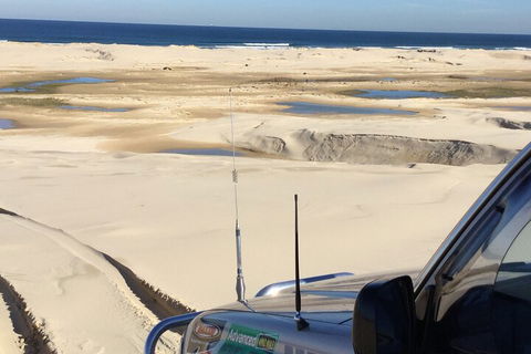 Port Stephens Bush, Beach And Sand Dune 4WD Passenger Tour - Accommodation Brunswick Heads 5