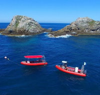 3-Hour Byron Bay Certified Scuba Diving Tour - Accommodation Brunswick Heads