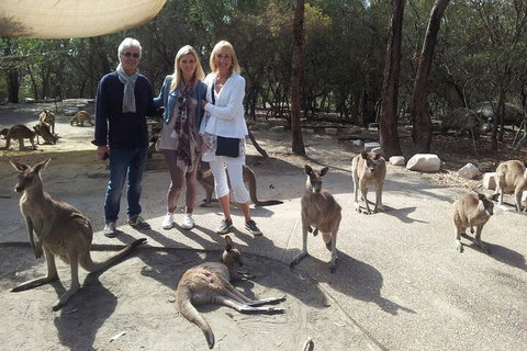 Private Scenic Day Trip From Sydney For Families And Friends - Accommodation Brunswick Heads 1