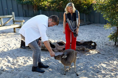 Albany's Whale Story - Accommodation Brunswick Heads 1