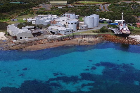 Albany's Whale Story - Accommodation Brunswick Heads 4