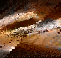 Windjana Explorer - Accommodation Brunswick Heads