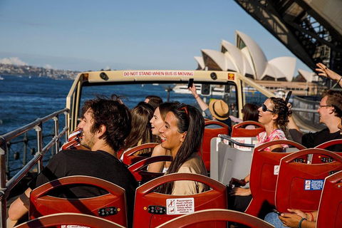 Hop-On Hop-Off Bus And PLUS 4 Merlin Attractions - Accommodation Brunswick Heads 1