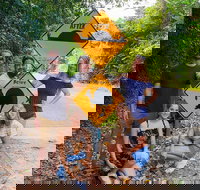 Cape Tribulation Daintree Rainforest and Wildlife Tour - Accommodation Brunswick Heads