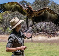One Day Kangaroo Island Sip  See tour with return ferry transfers from Adelaide - Accommodation Brunswick Heads