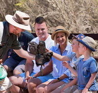 2 day Ultimate Kangaroo Island with return ferry - Accommodation Brunswick Heads