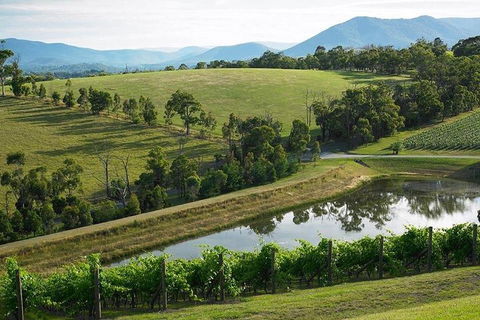 Yarra Valley Wine And Cider Tours By Classic Convertibles From Melbourne - Accommodation Brunswick Heads 1
