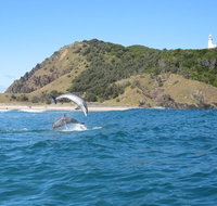 Kayaking with Dolphins in Byron Bay Guided Tour - Accommodation Brunswick Heads