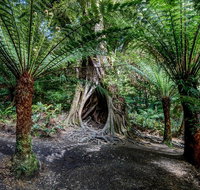 Adelaide to Melbourne 3-Day Trip through Grampians and Great Ocean Road - Accommodation Brunswick Heads