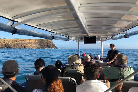 Julian Rocks Byron Bay Cruise - Accommodation Brunswick Heads 4