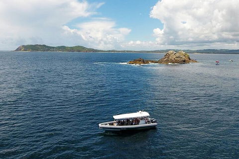 Julian Rocks Byron Bay Cruise - Accommodation Brunswick Heads 5