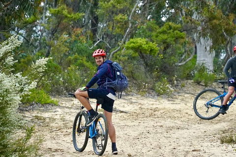 Blue Mountains Hanging Rock SELF-GUIDED Mountain Bike Hire Service - Accommodation Brunswick Heads 4