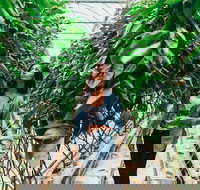 Yarra Valley Local Produce and Wine Tasting Tour - Accommodation Brunswick Heads