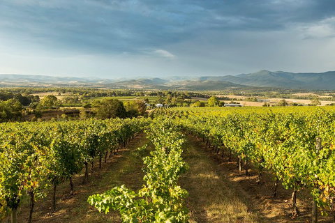 Yarra Valley Local Produce And Wine Tasting Tour - Accommodation Brunswick Heads 3