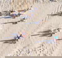 Unlimited Sandboarding - Accommodation Brunswick Heads