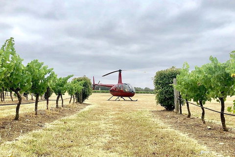 Private Helicopter Flight To Hunter Valley With A La Carte Lunch - For 2 - Accommodation Brunswick Heads 4