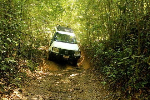 Barron Gorge And Kuranda National Park Half Day Rainforest And Waterfall 4WD Tour From Cairns - Accommodation Brunswick Heads 2