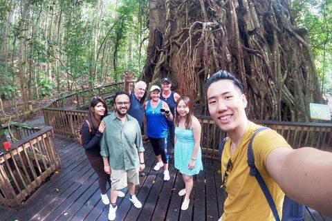 Barron Gorge And Kuranda National Park Half Day Rainforest And Waterfall 4WD Tour From Cairns - Accommodation Brunswick Heads 5