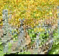 Margaret River Indulge and Discover Day Tour - Accommodation Brunswick Heads