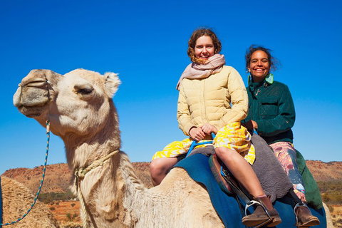 Alice Springs Camel Tour - Accommodation Brunswick Heads 3