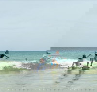 Private Beginners Surf Lessons Noosa World Surf Reserve - Accommodation Brunswick Heads