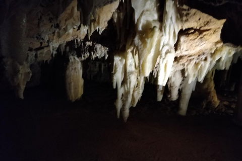 The Pinnacle Adventure Tour - Accommodation Brunswick Heads 0